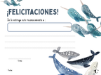 Diploma Set Ballena